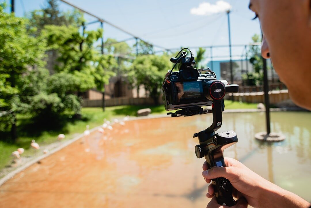 Camera movement training with gimbal stabilizer